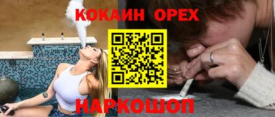 mdpv Новодвинск