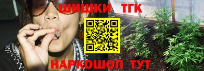 mdpv Новодвинск