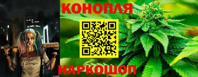 твердый Новокубанск