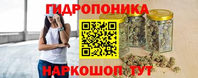 стаф Новозыбков