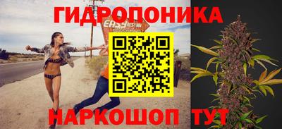 стаф Новозыбков