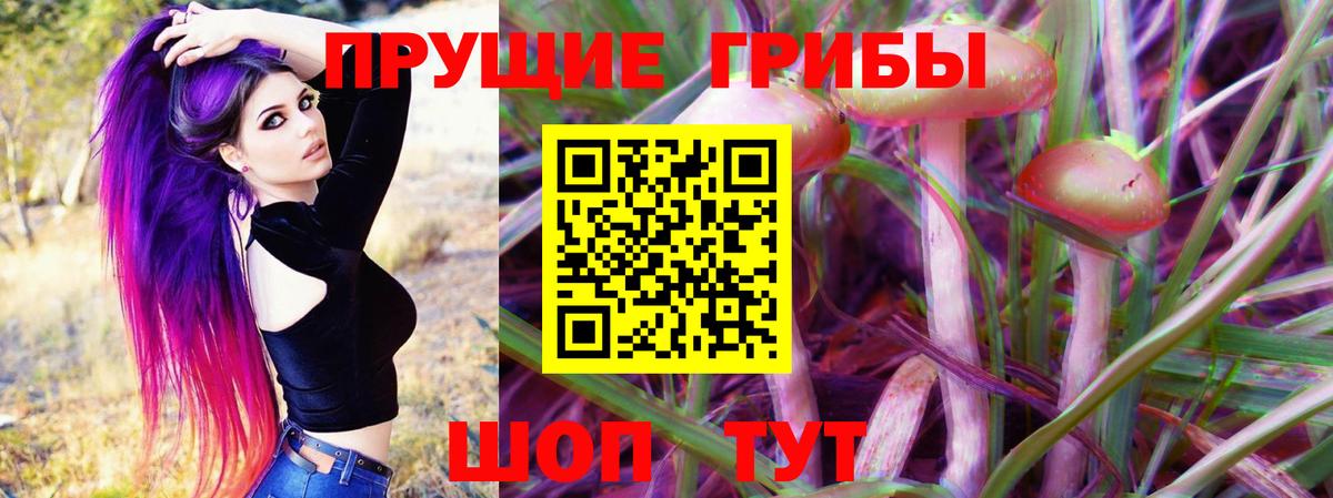 Усть-Джегута  Псилоцибиновые грибы прущие грибы  цены наркотик  Вход с VPN 